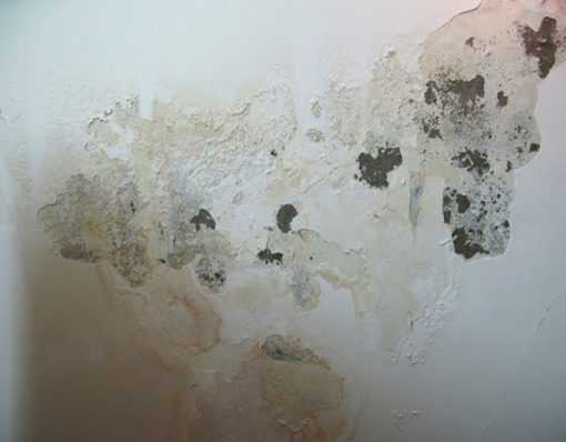 Có nên chống thấm tường trước khi ốp tấm nhựa PVC không?